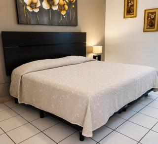 Hotel Casa Barcelona San Luis Potosí - 7