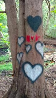 Heart of Traverse City Condo near Hospital - 7