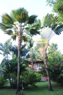 Casa de Hospedagem La Peregrina - Bangalô Brisa do Mar - 7