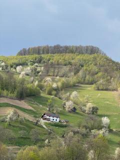 Cabana Colț de liniste - 3