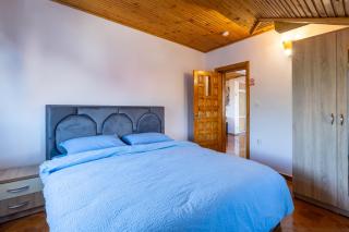 Penthouse Apartment in Leo's Villa - 1