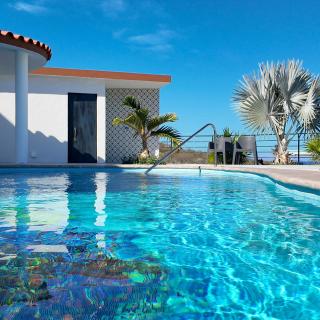 Casita GEcko - 4
