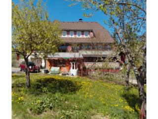 Beautiful apartment in a Black Forest house with conservatory - 4
