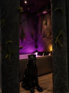 La Grotte Interdite - Love Room - 4