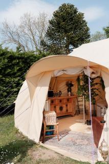 Wild Retreat - 8