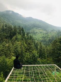 jibhihomesteadcabin - 3