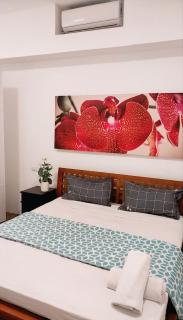 Punta Cana Garden Beach Club Los Corales I - 3
