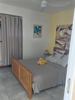 A Ka Roro petit appart cosy T2 - proche CHU, wifi, piscine - 0