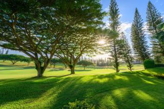 Kapalua Golf Villas 3 Free Cars Beautiful Remodel KBM Resorts Beautiful Remodel 3 Units 6 Bedrooms ML-2231 - 9