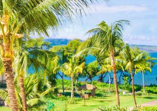 KBM Resorts 2 FREE CARS Honua Kai Hokulani Ocean view 2-Bedroom Multi-Unit Listing Stunning views HK ML-2858 - 9