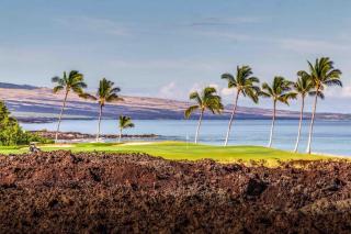KBM Resorts FREE CAR Halii Kai 3-Bedroom Condo with Luxury Amenities AC HLI-19G - 5