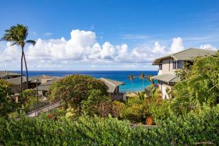 KBM Resorts FREE CAR Kapalua Bay Villa Oceanfront 1-Bedroom Condo KBV-17G4 - 5
