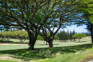 KBM Resorts FREE CAR Kapalua Golf Villa 2-Bedroom Condo with Beautiful Fairway views KGV-14P3 - 6
