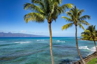 KBM Resorts FREE CAR Lokelani Oceanfront 2-Bedrooms Condo Recently Remodeled LOK-B201 - 8