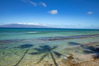 KBM Resorts FREE CAR Papakea Oceanfront 1-Bedroom Corner Unit with King bed and Unobstructed views PKA-201 - 6