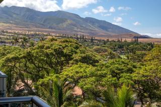 KBM Resorts FREE CAR The Whaler Ocean view Recently Updated Studio Stunning views WH2-661 - 6