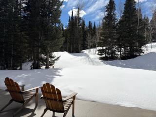 KBM Resorts Walk to Slopes Sports Court Private Home Theater Sleeps 16 Private Hot Tub PCO-184G - 3