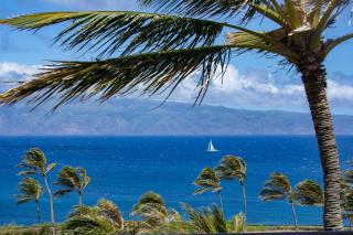 Luxury Ocean View 3-Bedroom Villa at The Resort at Kapalua Bay Daily Housekeeping Spa Rental Car Included MON-2604 by KBM - 2