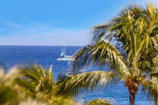Luxury Villa at The Resort at Kapalua Bay Private Lanai Spa and BBQ. Rental Car Included MON-5203 by KBM - 6