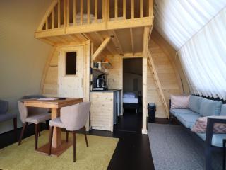 Unique tent lodge in Dalerveen with sauna - 4