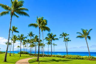 Ocean View 3-Bedroom Villa at The Resort at Kapalua Bay Daily Housekeeping Spa Rental Car Included MON-6302 - 1