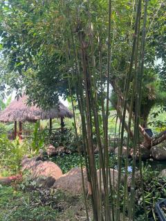Binh Yên Nơi Đây Homestay - 3