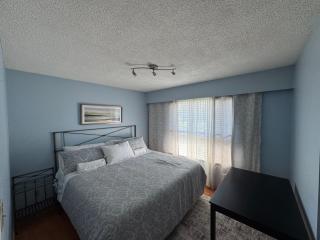 cozy nest - 1
