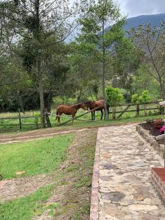 Finca VillaMaria - 4