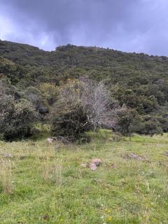 Finca VillaMaria - 3