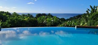 La VILLA ANKARENA Dans un domaine forestier tropical, PROPRIÉTÉ ENTIÈRE avec PISCINE PRIVEE, Wifi, TV Plage à 5 minutes à pieds - 7