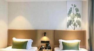 GreenTree Inn Express Guangxi Nanning Mingyang Avenue Nanning Airport - 8