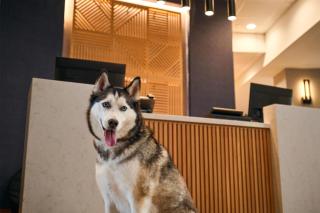 Hyatt Place Tampa Airport/Westshore - 0