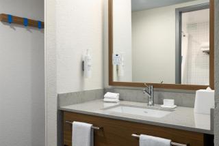 Hampton Inn Washington-Dulles International Airport South - 7