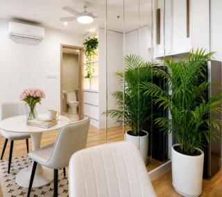 Susu Homes Studio Apartments - Ocean Park - 1