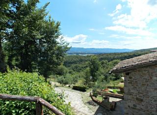 Casale Mocali - Fattoria del Mulinaccio - 8