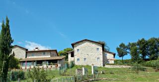 Casale Mocali - Fattoria del Mulinaccio - 0