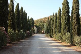 Agriturismo Valborgina - Castiglione della Pescaia - 9