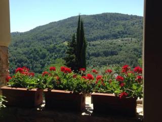 Agriturismo Villa Dauphiné - Bagno a Ripoli - 4