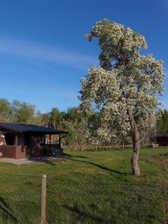 Self catering accommodation - självhushållet boende - renovated may 2026! - 4