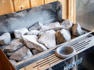 Luxurious Apartment near Graz with Private Sauna - 5
