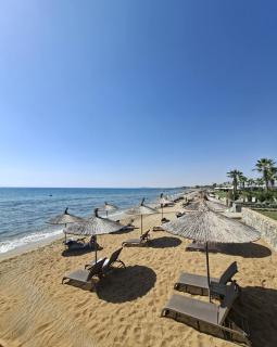 Stylish Loft - 50m from Beach - 7