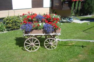 Haus Kandahar - Saas-Fee - 6