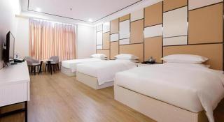 Borrman Hotel Heyuan East Station Linjiang Vehicle Administration Office - 6