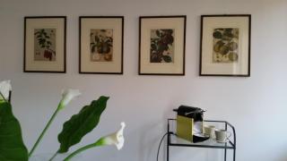 Le Betulle - Verona - 2