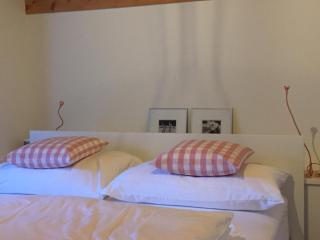 Ferienhaus Grüner Heinrich - Andermatt - 1