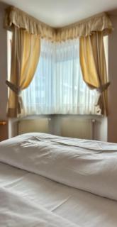 Hotel Fortuna - 8