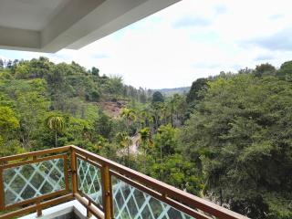 Majestic Mirage Service Villa,vythiri - 8