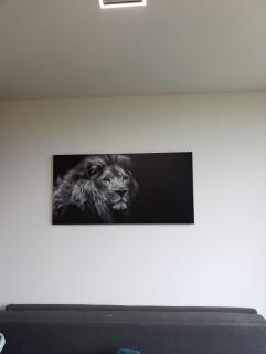 Bergpanorama zum Grimming Appartement Ferienwohnung Pichlarn - 8