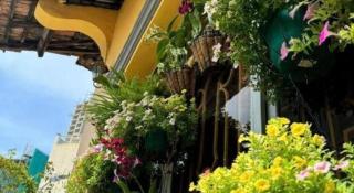 Son Tung Hotel - De Tham Street - 6