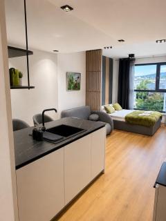 Aviva Central Chic Studio - 7